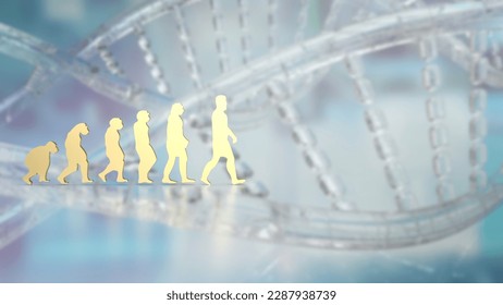 Human evolution image for education or sci concept 3d rendering