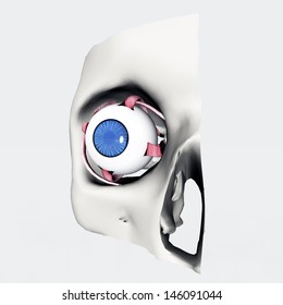 Human Eye Computer Generated 3d Illustration Stock Illustration ...