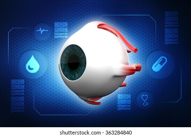 Human Eye Dissection Anatomy Stock Illustration 363284840 | Shutterstock