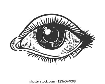 4,784 Eye Etching Images, Stock Photos & Vectors | Shutterstock