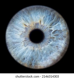 Human eye iris close up isolated on black background
