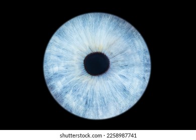 Human eye iris close up isolated on black background