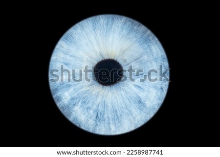 Human eye iris close up isolated on black background