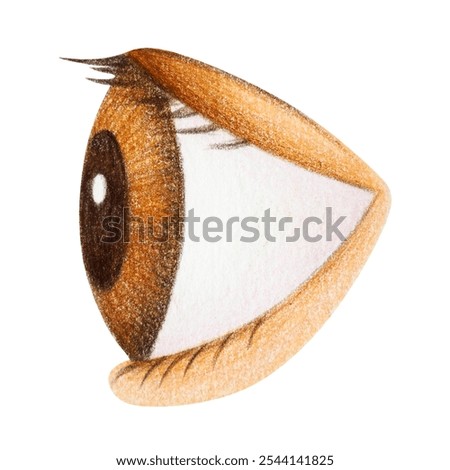human eye side vision look brown black eyeball symbol logo art illustration pencil color drawing design icon sign painting optical organ body health concept white isolated background