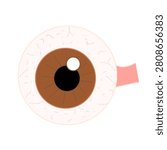 Human Eyeball Anatomy Flat Vector Illustration Isolated on Transparent Background