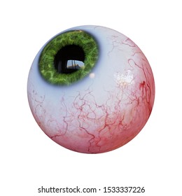 Human Eyeball With Green Iris Looking Up, Isolated On White Background (3d Render)
