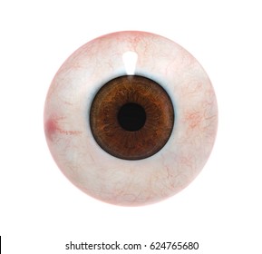 Human Eyeball Isolated. 3D Rendering