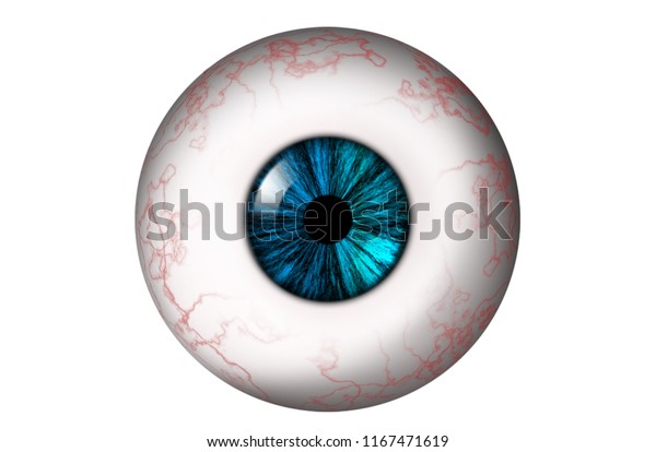 白い背景に赤い静脈と青緑色の虹彩を持つ人間の眼球 ビットマップイラスト のイラスト素材