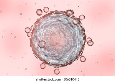 Human female egg cell on colorful background. 3D illustration