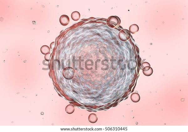 Human female egg cell on colorful\
background. 3D\
illustration