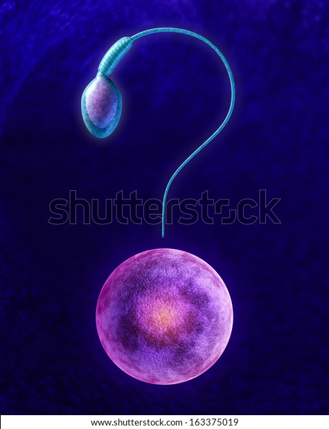Human fertility questions and reproductive\
confusion and uncertainty as a male sperm cell and female egg\
shaped as a question mark as a stress concept for reproduction and\
medical sex\
information.