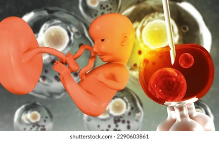 Human fetus and In vitro fertilization. 3d illustration	 - Powered by Shutterstock