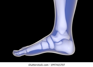 12,481 Man foot side view Images, Stock Photos & Vectors | Shutterstock