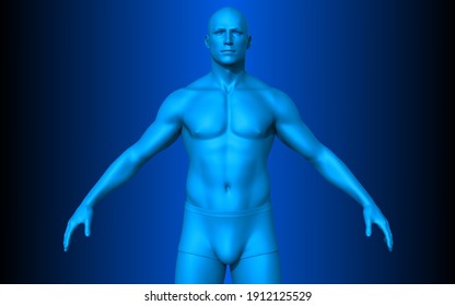 Human Full Body Blue Concept. 3D Illustration