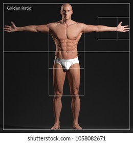 Human Golden Ratio -  Vitruvian Man