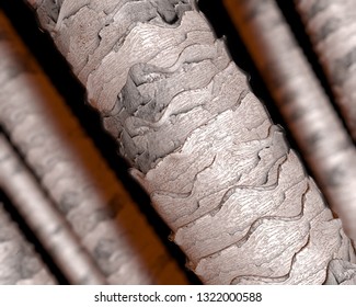 Human hair under microscope, 3D illustration showing close-up structure of healthy human hair 