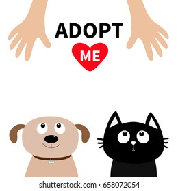 Human Hand. Adopt Me. Dont Buy. Dog Cat Pet Adoption. Puppy Pooch Kitty Cat Looking Up To Red Heart. Flat Design. Help Homeless Animal Concept. White Background. Isolated. 