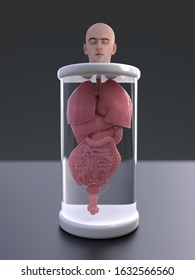 Human Head With Artificial Organs, 3d Illustration