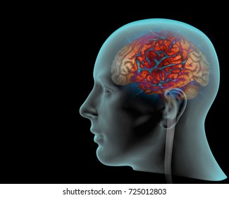 human head with brain and black background  - Shutterstock ID 725012803