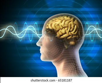 Human head and brain. Different kind of waveforms produced by brain activity shown on background. Digital illustration.