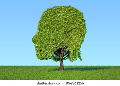 Human head shaped tree on the green grass against blue sky, 3D rendering 