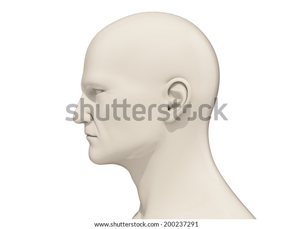 Human Head Side View Isolated On Stock Illustration 200237291