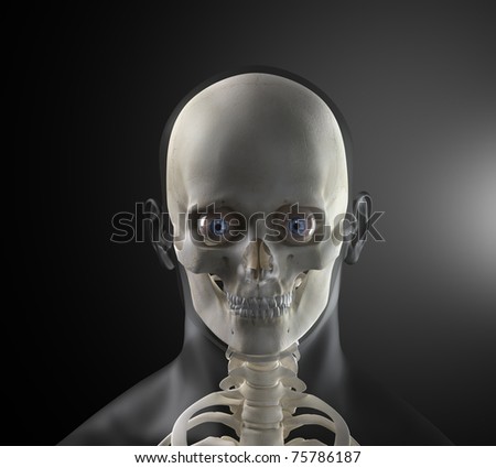 Image, Stock Photo Primate skull Primacy