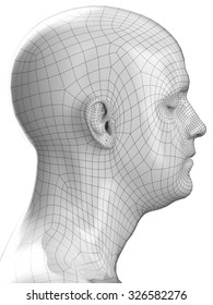 Human Head Wire Profile