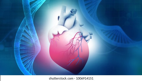 Anatomie des menschlichen Herzens mit abstraktem Hintergrund. 3D-Illustration	