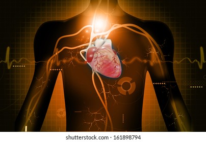 Human heart anatomy on abstract digital background 