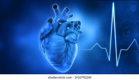 Human Heart Anatomy On Blue Background Stock Illustration 1910792245 ...