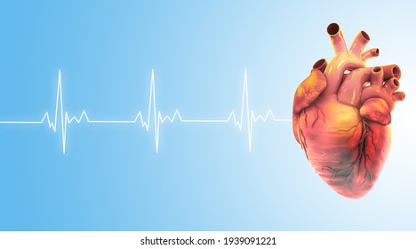 Human heart anatomy on light blue medical background. 3d illustration	