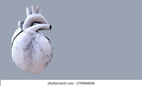 Human Heart Beat Anatomy Animation. 3d Illustration