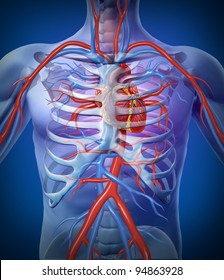 Human Heart Circulation In A Skeleton Cardiovascular System As An Anatomy For A Healthy Body On A Black Glowing Background As A Medical Health Care Symbol As A Medical Diagram.