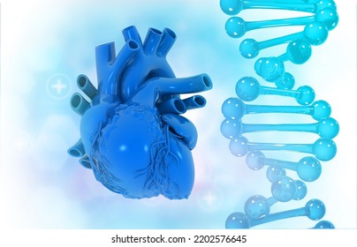 Human Heart With Dna Strand . 3d Illustration	