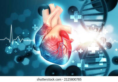 Human Heart With Dna Strand On Scientific Background. 3d Illustration		