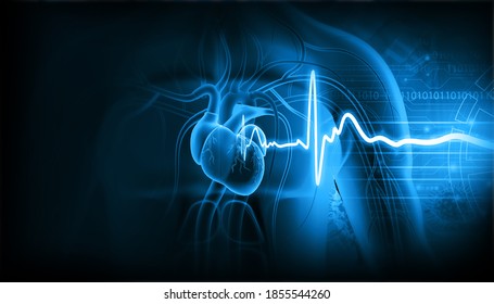 Human heart with ecg graph. 3d illustration		