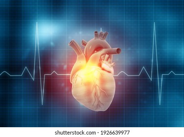 Human Heart With Ecg Graph. 3d Illustration		