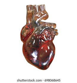 Human Heart Isolated On White Background, 3D Illustration