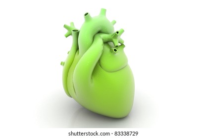 human heart isolated on white background