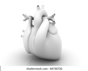 Human Heart Isolated On White Background