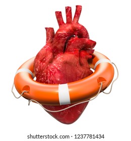 Human Heart With Lifebuoy, Heart Protect Concept. 3D Rendering Isolated On White Background