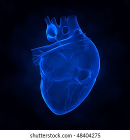 Human Heart X-ray View