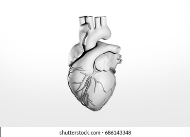 Human Heart,3D Rendering