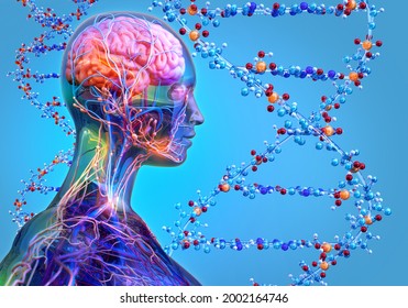 Human heredity, genotype, genetic code, biological inheritance scientific illustration with brain, nervous system, DNA. Genome mutations, ancestry genetics, genomics, hereditary diseases research, 3D