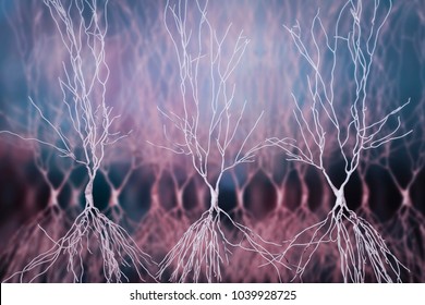 Human Hippocampus Neurons, Computer Reconstruction, 3D Illustration. Damage Of Hippocampus Is Involved In Development Of Alzheimer's Disease, Other Form Of Dementia, Memory Loss, Epilepsy, Depression