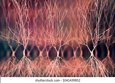 Human Hippocampus Neurons, Computer Reconstruction, 3D Illustration. Damage Of Hippocampus Is Involved In Development Of Alzheimer's Disease, Other Form Of Dementia, Memory Loss, Epilepsy, Depression