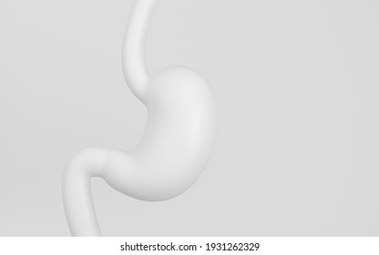 Human Internal Stomach Anatomy, 3d Rendering. Computer Digital Drawing.