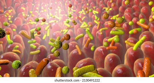 Human Intestine With Intestinal Bacteria, 3D Illustration. Human Gut Microbiome