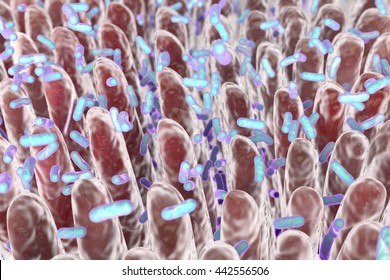 Human Intestine With Intestinal Bacteria, 3D Illustration